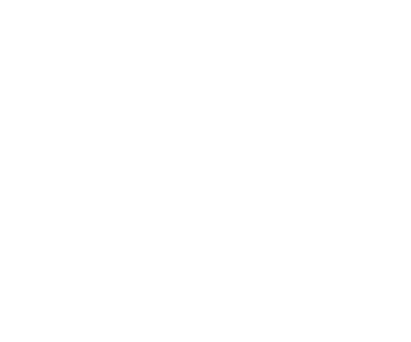 Logo White