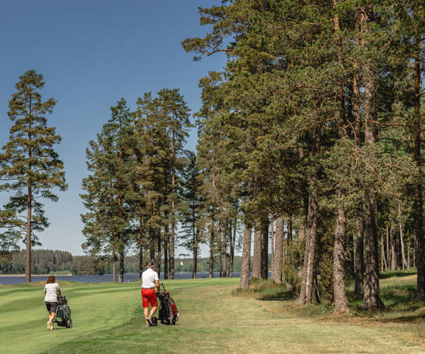 Hooksherrgård Golf 45