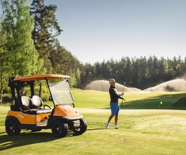 Hooksherrgård Golf 6