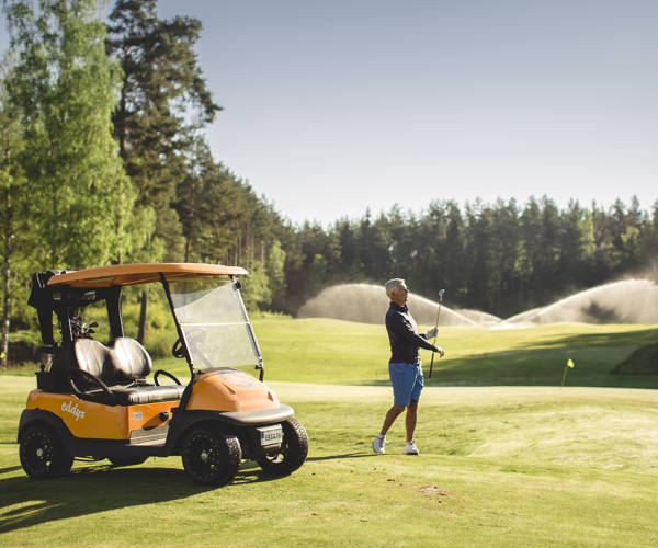 Hooksherrgård Golf 6