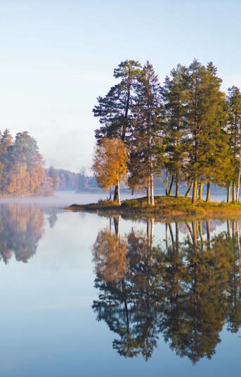 Höstkonferens